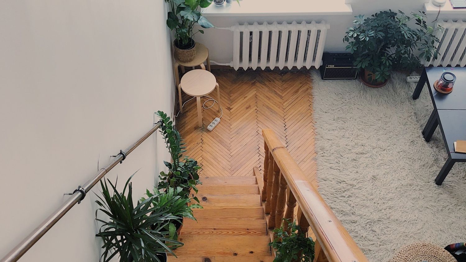 Plants lined up on wooden stairs 1222457